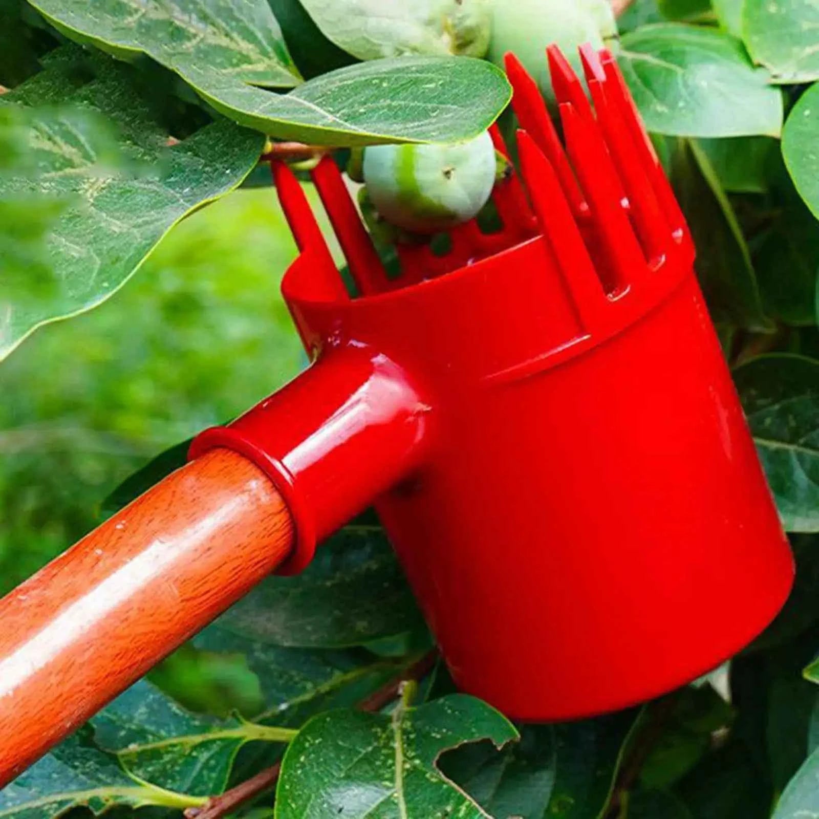 Jujube Picker Small Fruits Harvesting Farm Agricultural Jujube Picking Tool